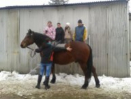 Praktická výuka hiporehabilitace - přistavení koně k rampě